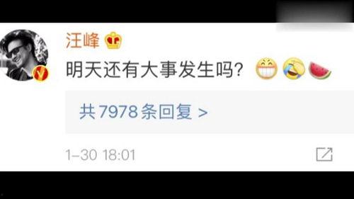 娱乐吃瓜贴吧官网首页,首页亮点抢先看