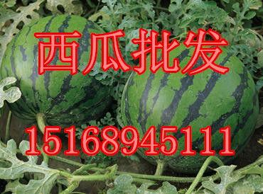 娱乐吃瓜酱山东哪里的,探寻娱乐吃瓜酱的美食之源