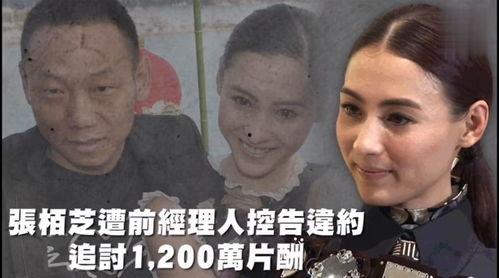 专业吃瓜娱乐,娱乐八卦背后的社交现象与商业价值