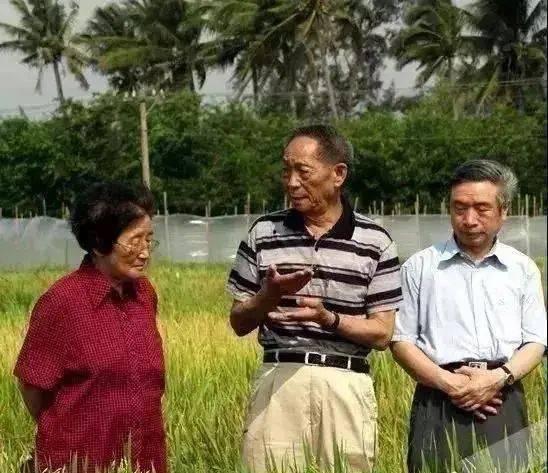 娱乐吃瓜助理当枪使,明星如何利用助理成为“传声筒”