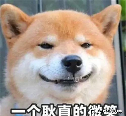 带你吃瓜的娱乐设施,带你体验‘带你吃瓜的独特魅力”