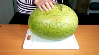 花花吃瓜娱乐,揭秘娱乐圈幕后故事