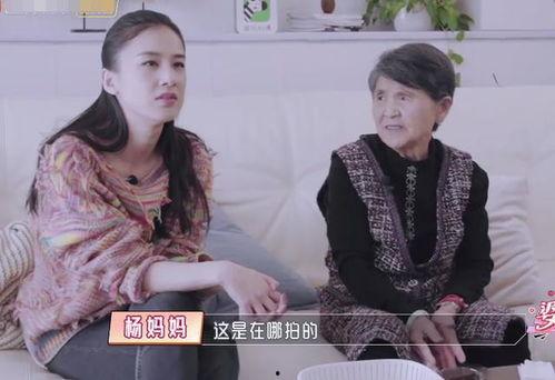 娱乐吃瓜酱婆婆在线观看,揭秘热门剧集幕后故事