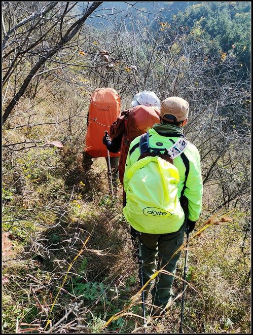 娱乐吃瓜酱拐进山里,拐进神秘山林探险记