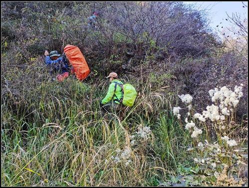 娱乐吃瓜酱拐进山里,拐进神秘山林探险记