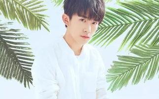 娱乐吃瓜妹易烊千玺微博,揭秘娱乐圈幕后故事