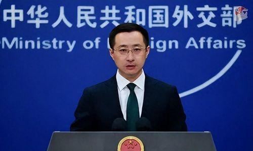 娱乐吃瓜委会副会长